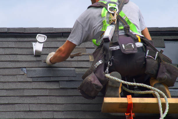 Best Roof Gutter Cleaning  in Long Beach, MD