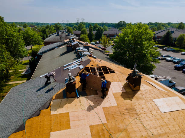 Best Metal Roofing Contractor  in Long Beach, MD