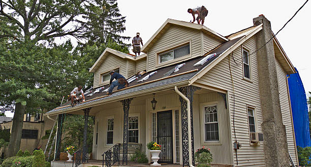 Best Flat Roof Repair Services  in Long Beach, MD